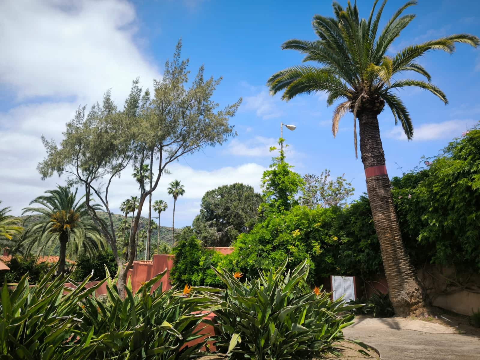 Chalet de 3 habitaciones en Las Palmas de Gran Canaria en alquiler - 3.000 € (Ref: 9840854)
