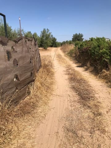 Building Plot for sale in Almonte - € 21,500 (Ref: 10012338)