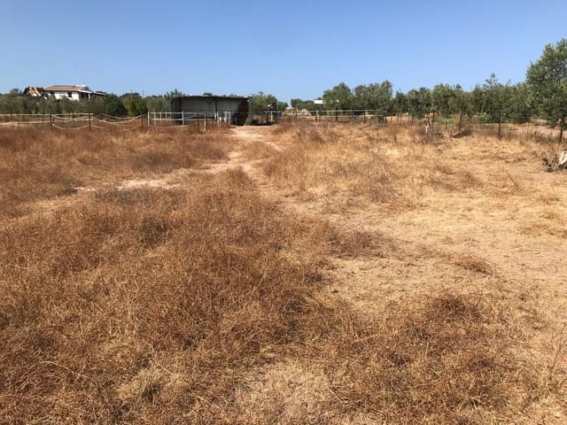 Building Plot for sale in Almonte - € 21,500 (Ref: 10012338)