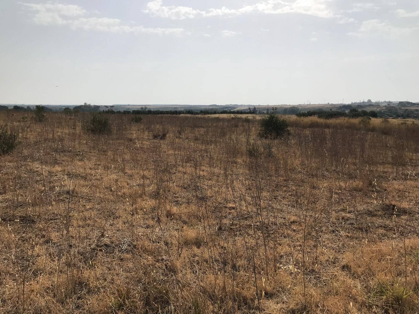 Building Plot for sale in Almonte - € 85,000 (Ref: 10012352)