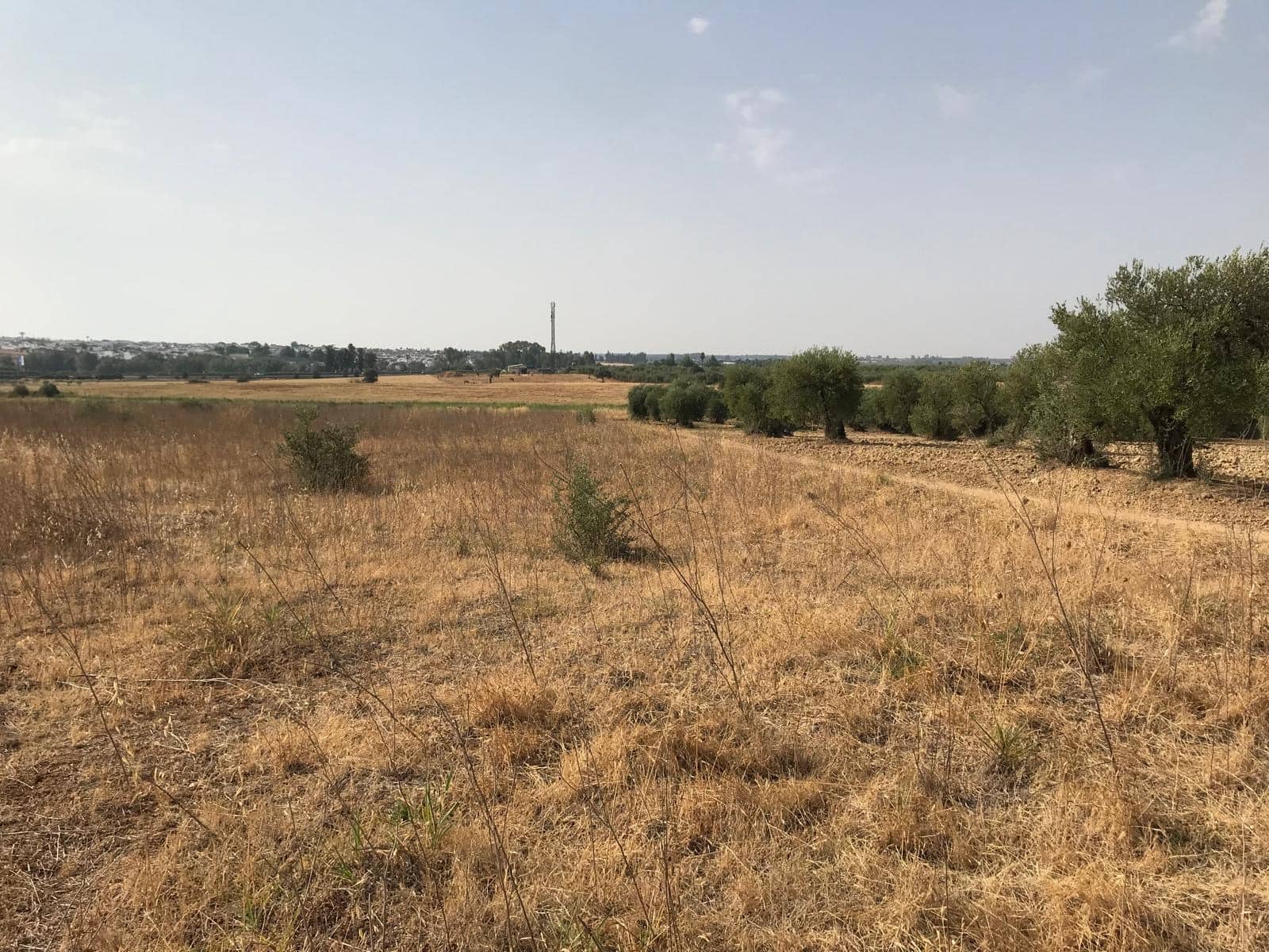Building Plot for sale in Almonte - € 85,000 (Ref: 10012352)