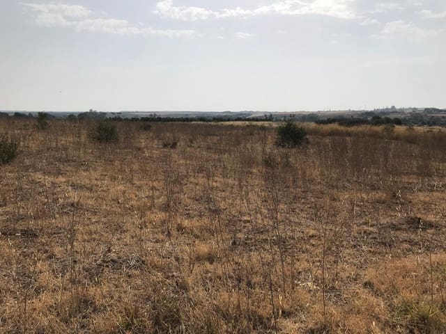 Building Plot for sale in Almonte - € 85,000 (Ref: 10012352)