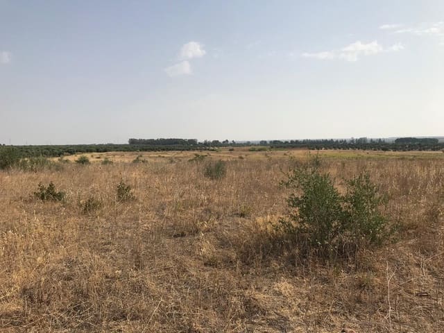 Building Plot for sale in Almonte - € 85,000 (Ref: 10012352)