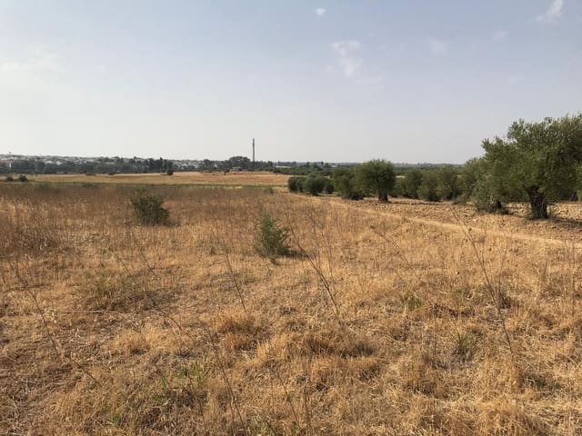 Building Plot for sale in Almonte - € 85,000 (Ref: 10012352)