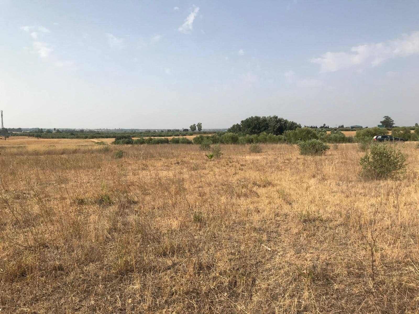 Building Plot for sale in Almonte - € 85,000 (Ref: 10012352)