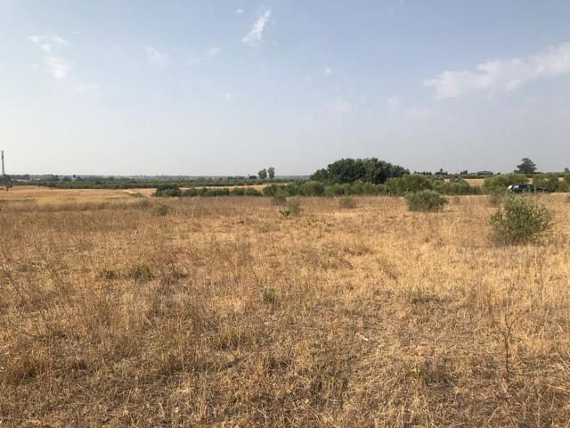 Building Plot for sale in Almonte - € 85,000 (Ref: 10012352)