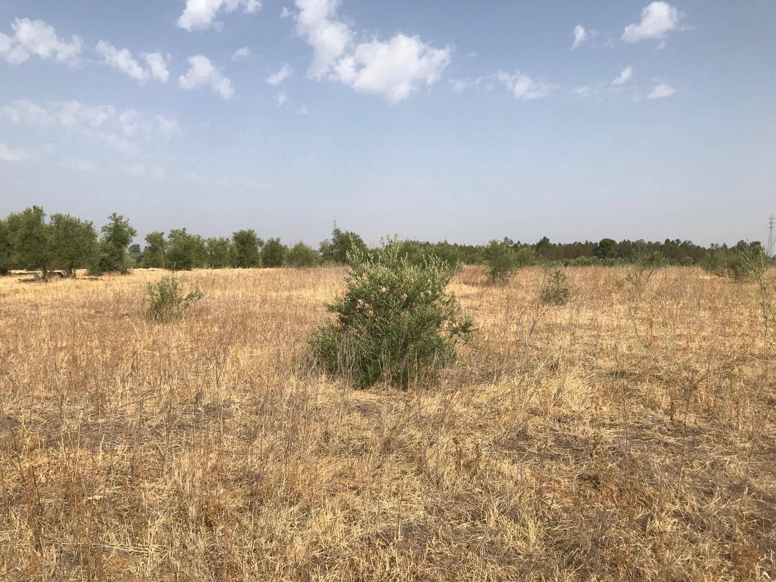 Building Plot for sale in Almonte - € 85,000 (Ref: 10012352)