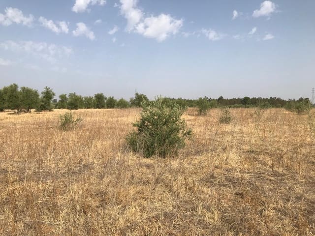 Building Plot for sale in Almonte - € 85,000 (Ref: 10012352)