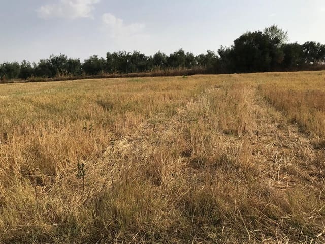 Building Plot for sale in Almonte - € 17,000 (Ref: 10012355)