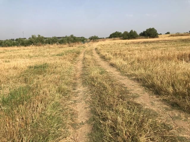Building Plot for sale in Almonte - € 17,000 (Ref: 10012355)