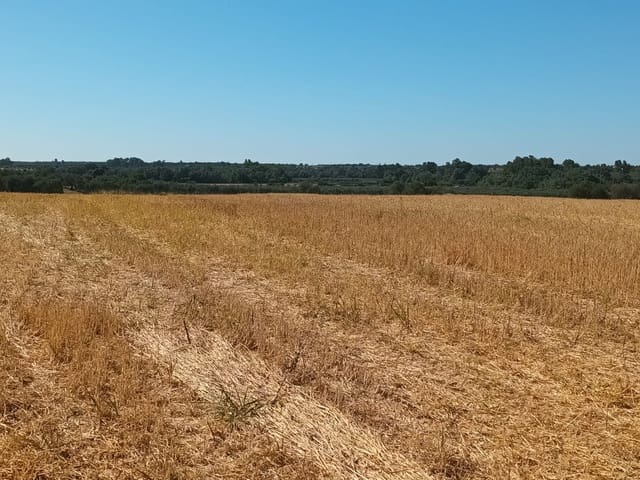 Building Plot for sale in Almonte - € 19,000 (Ref: 10012360)
