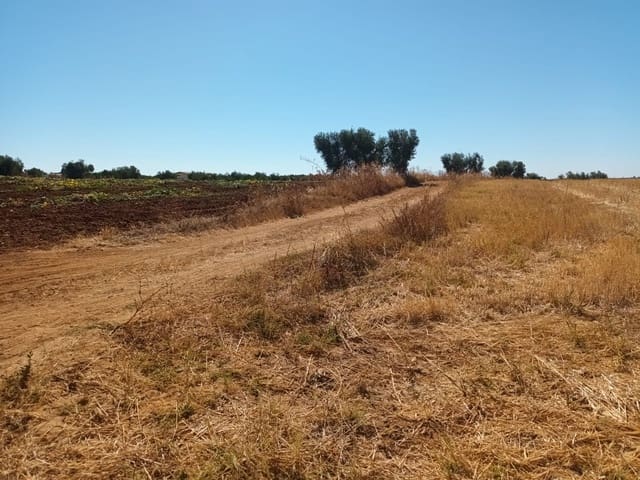 Building Plot for sale in Almonte - € 19,000 (Ref: 10012360)