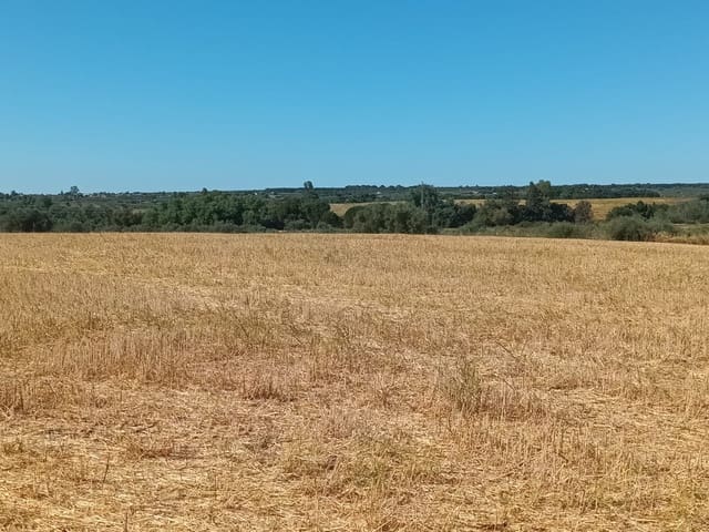 Building Plot for sale in Almonte - € 19,000 (Ref: 10012360)