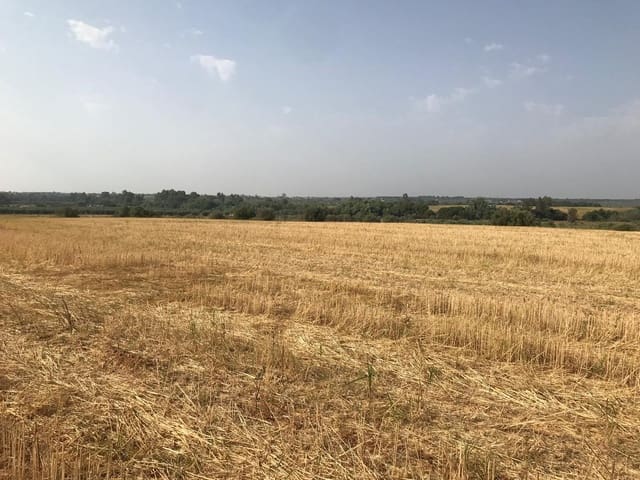 Building Plot for sale in Almonte - € 19,000 (Ref: 10012360)