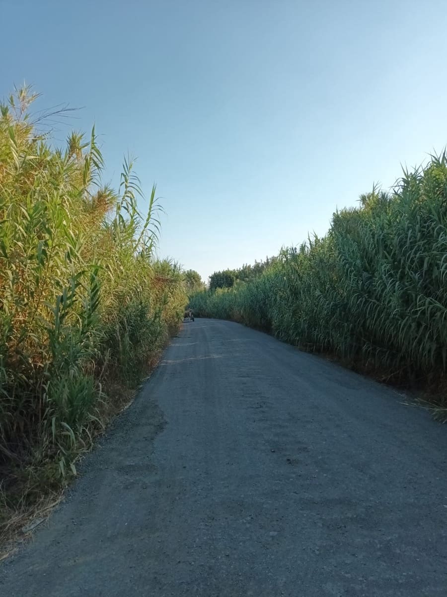 Finca/Landhuis te koop in Almonte - € 106.000 (Ref: 10012366)