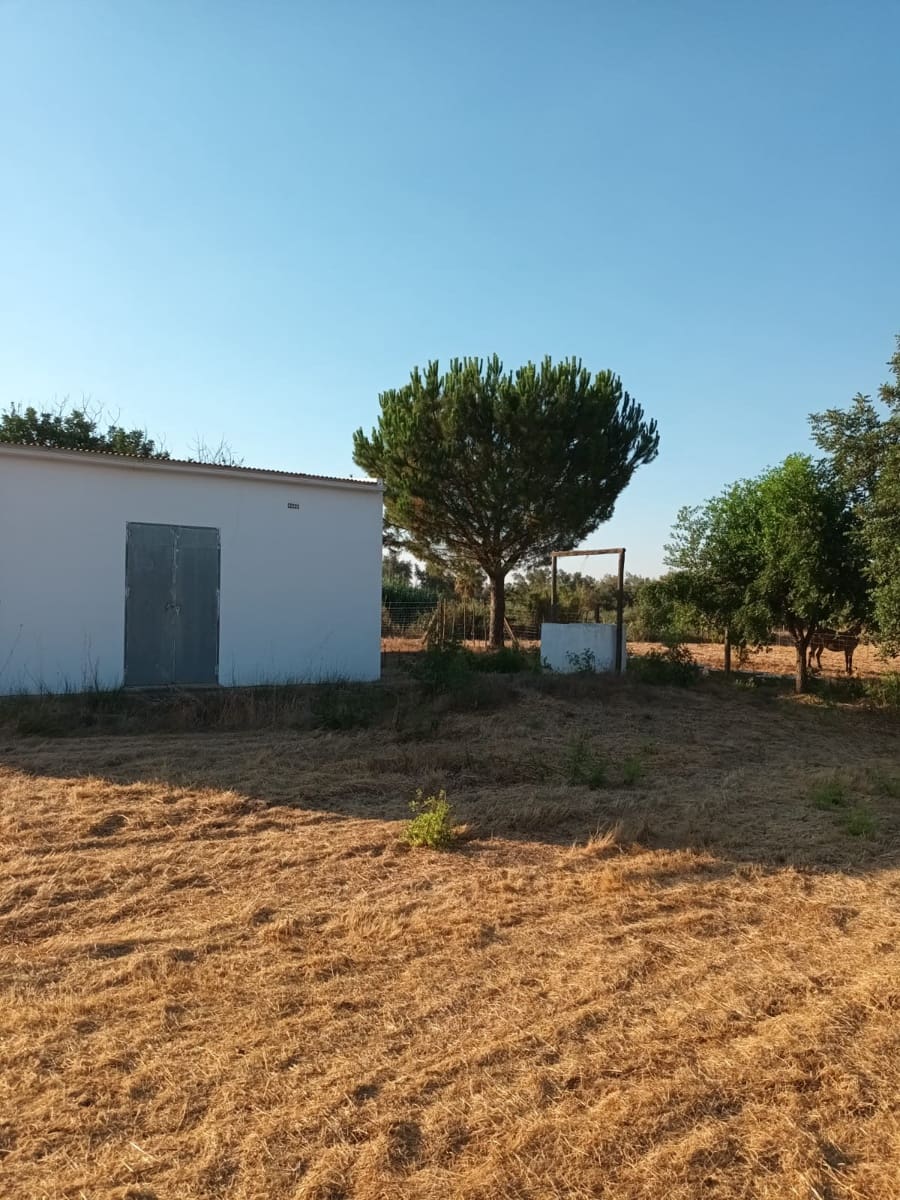 Finca/Landhuis te koop in Almonte - € 106.000 (Ref: 10012366)