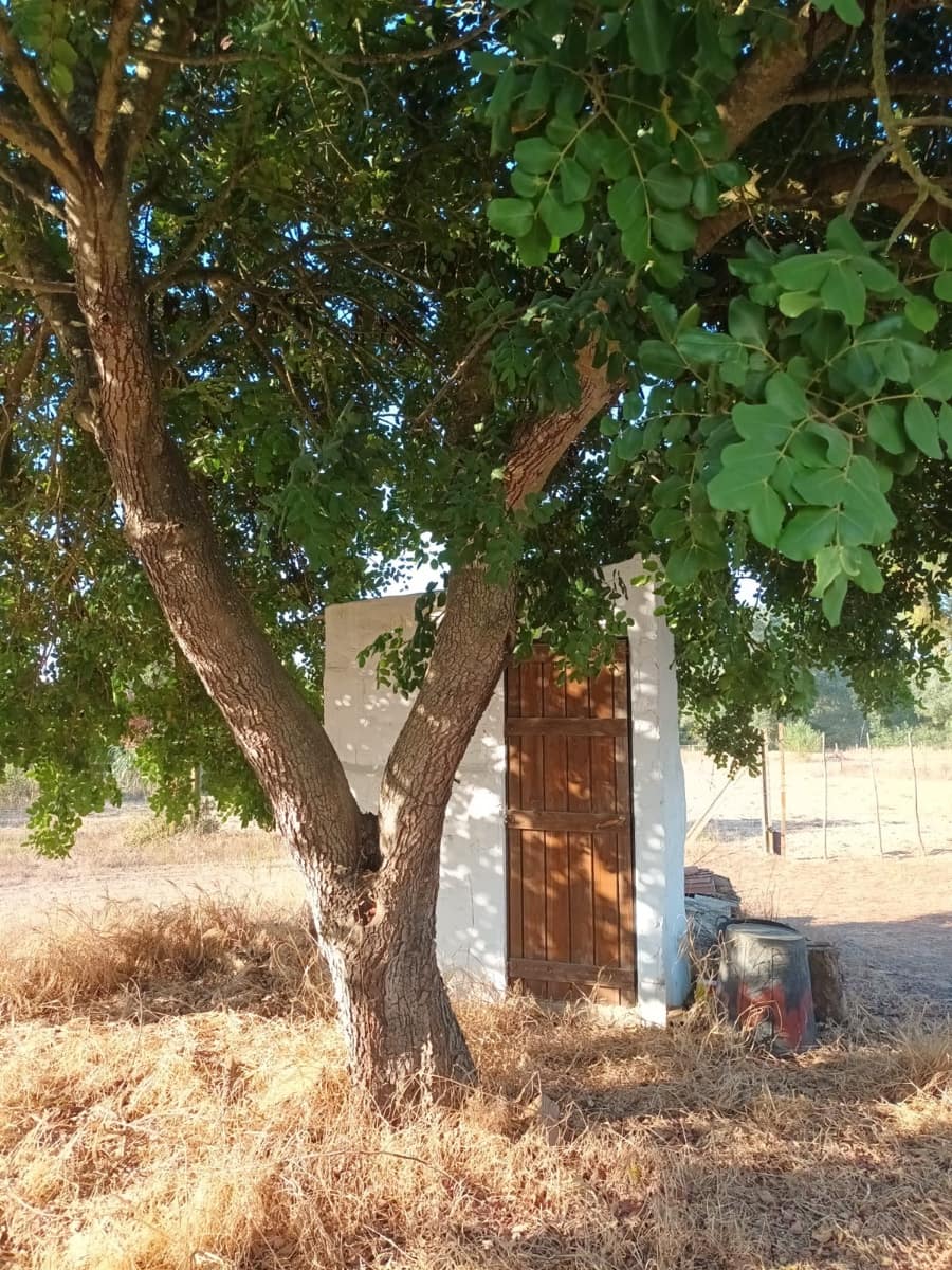 Finca/Landhuis te koop in Almonte - € 106.000 (Ref: 10012366)