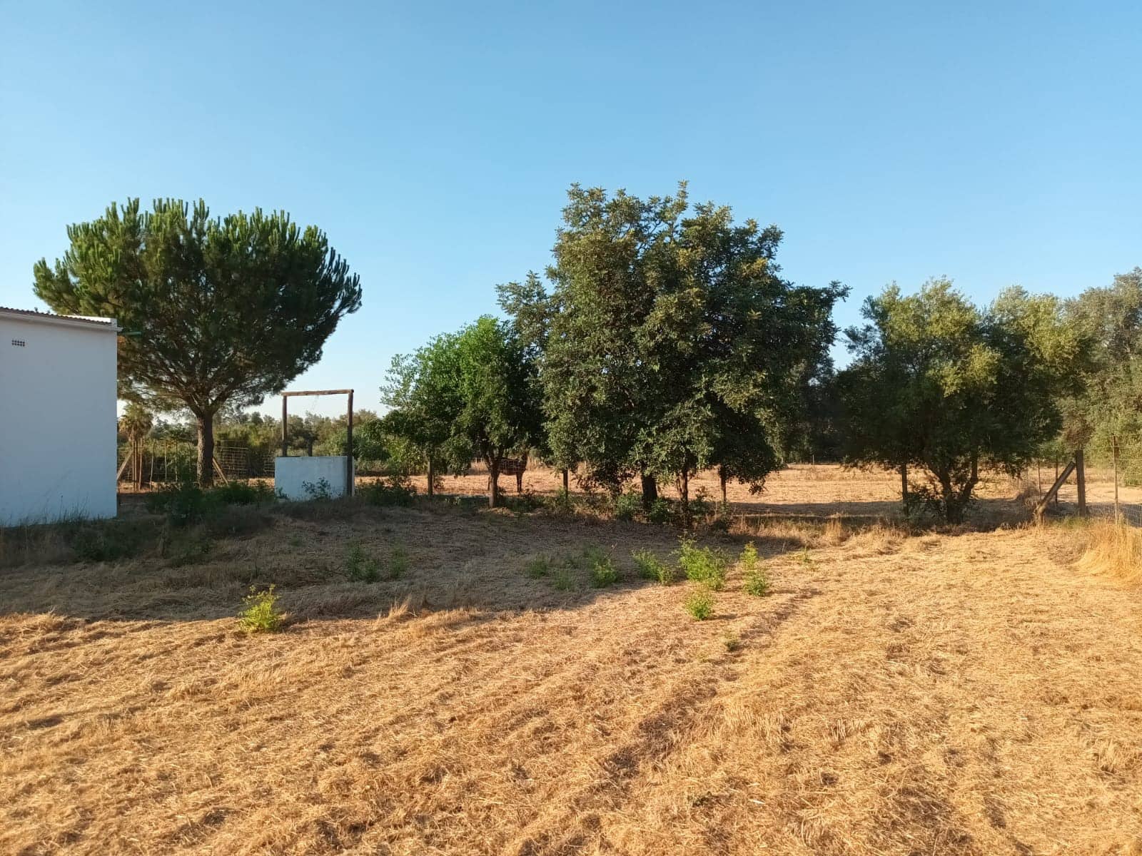 Finca/Landhuis te koop in Almonte - € 106.000 (Ref: 10012366)