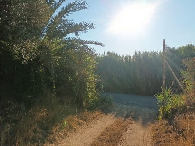 Finca/Landhuis te koop in Almonte - € 106.000 (Ref: 10012366)