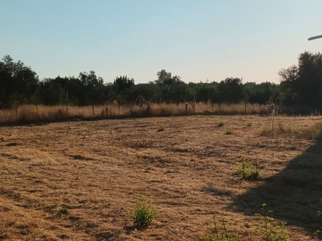 Finca/Landhuis te koop in Almonte - € 106.000 (Ref: 10012366)