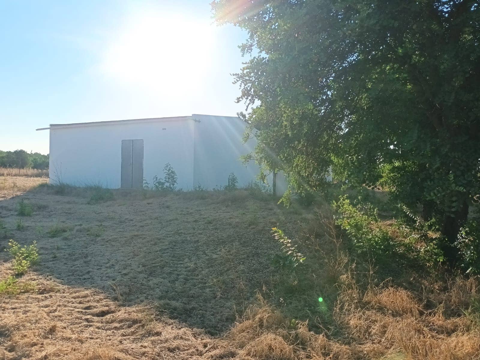 Finca/Landhuis te koop in Almonte - € 106.000 (Ref: 10012366)