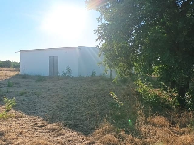 Finca/Landhuis te koop in Almonte - € 106.000 (Ref: 10012366)