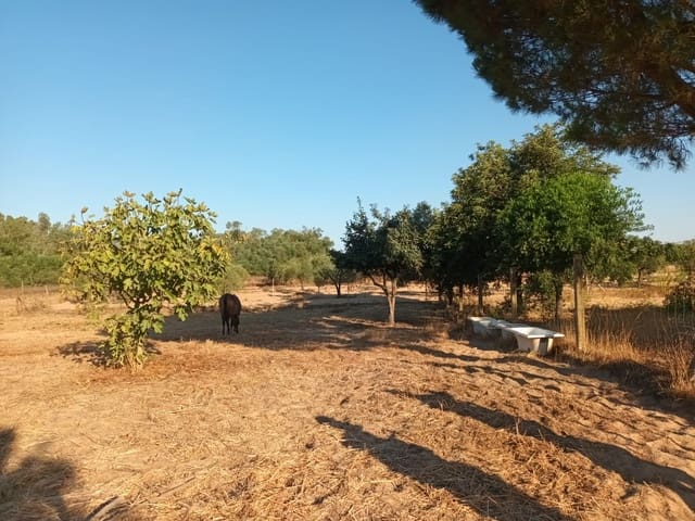 Finca/Landhuis te koop in Almonte - € 106.000 (Ref: 10012366)