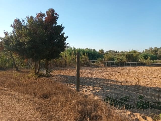Finca/Landhuis te koop in Almonte - € 106.000 (Ref: 10012366)