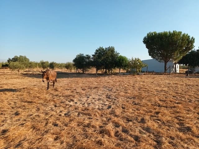 Finca/Landhuis te koop in Almonte - € 106.000 (Ref: 10012366)