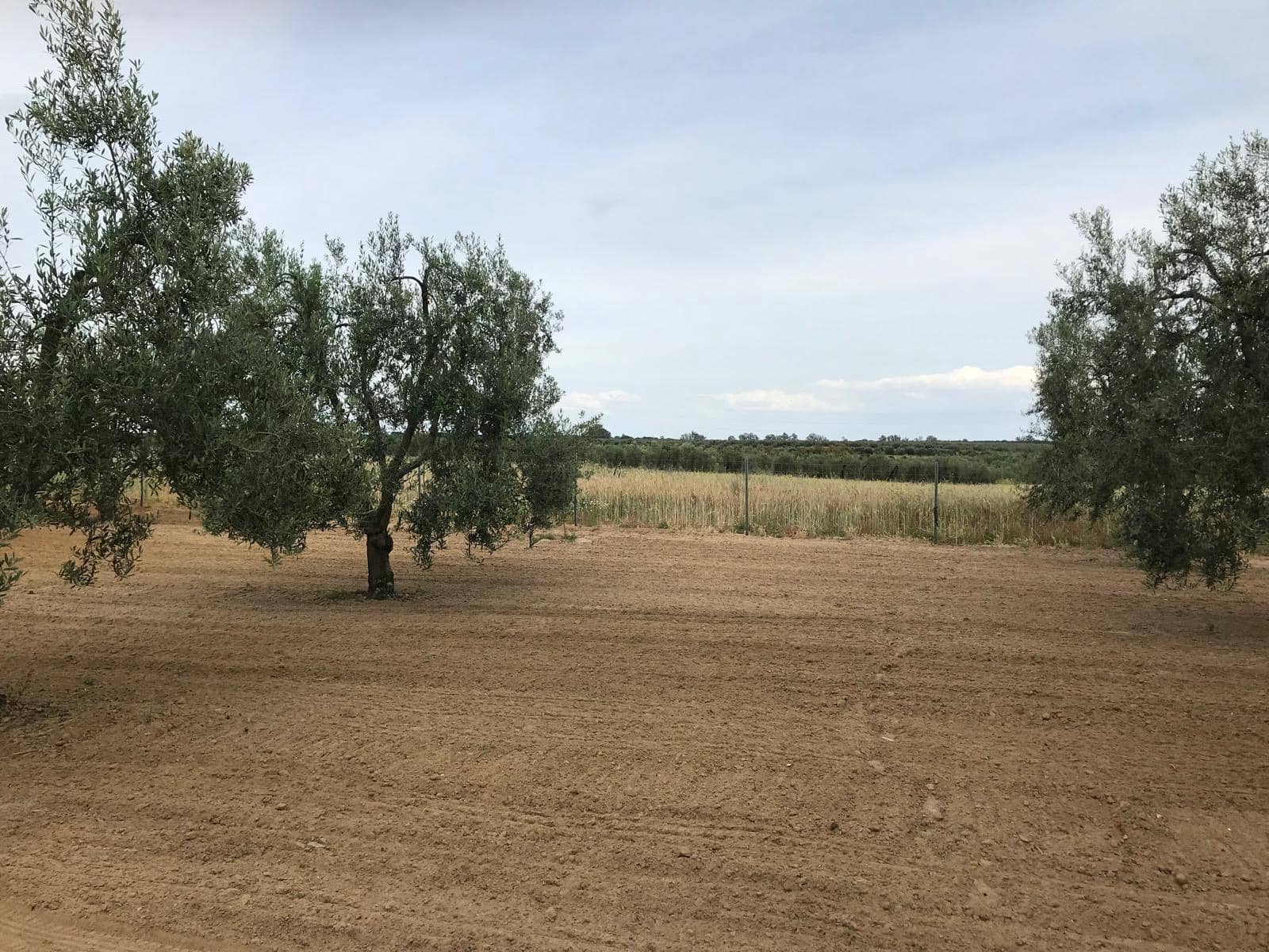 1 bedroom Finca/Country House for sale in Almonte with garage - € 72,000 (Ref: 10012416)