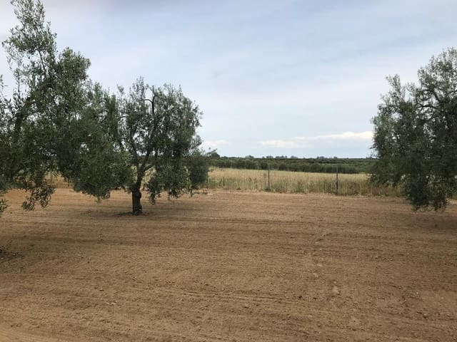 1 Zimmer Finca/Landgut zu verkaufen in Almonte mit Garage - 72.000 € (Ref: 10012416)