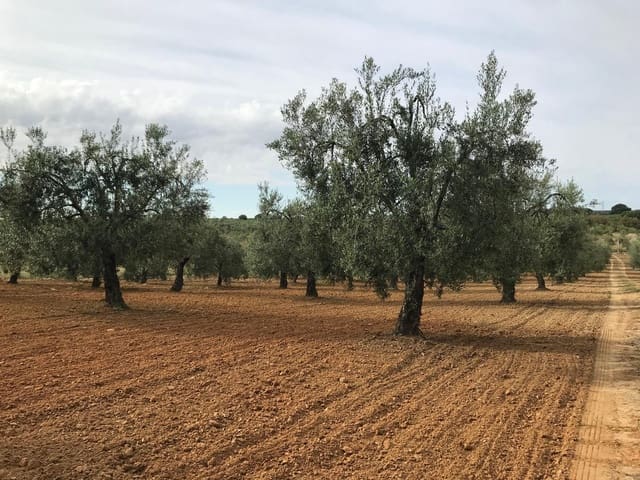 1 Zimmer Finca/Landgut zu verkaufen in Almonte mit Garage - 72.000 € (Ref: 10012416)