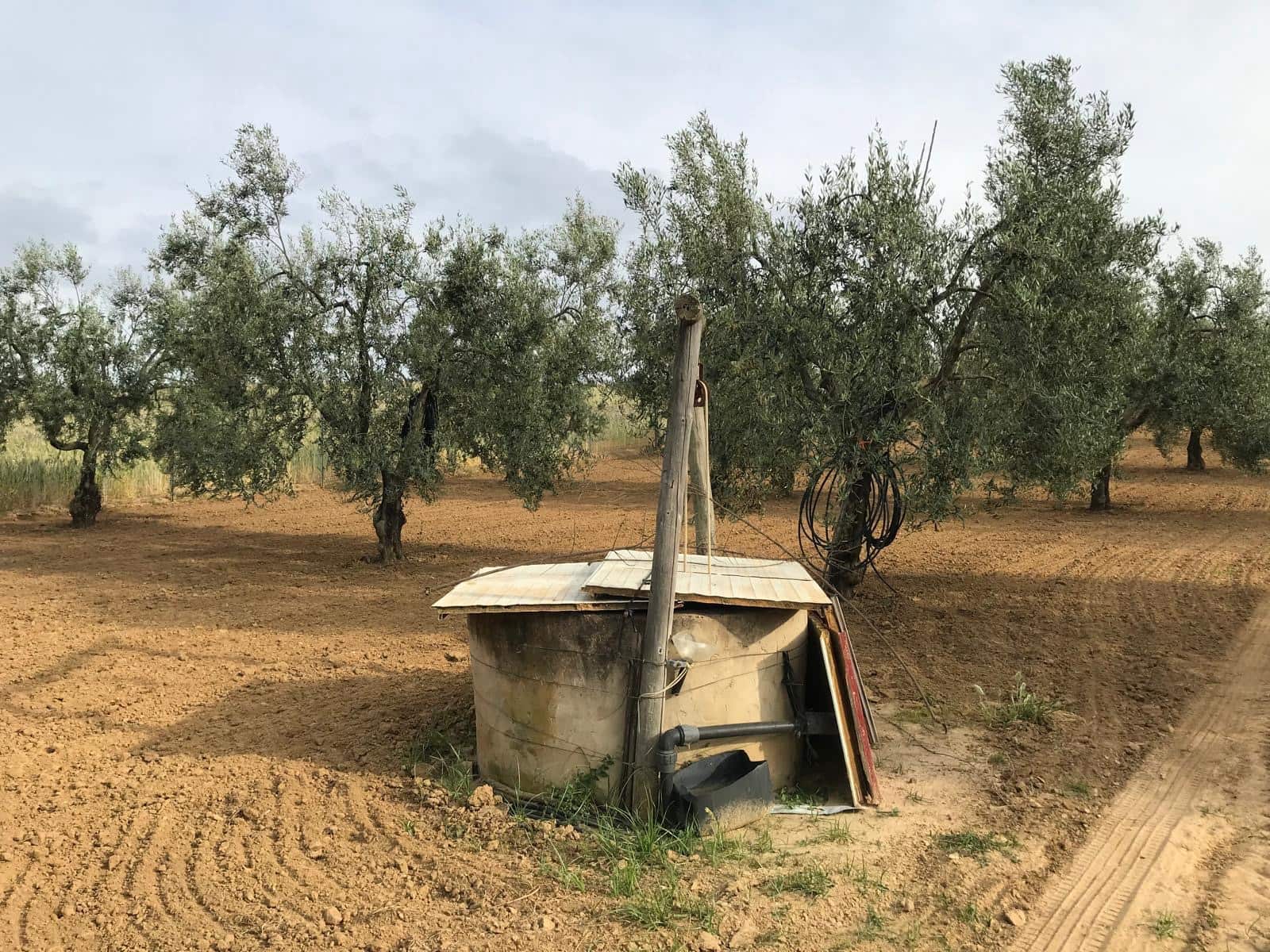 1 bedroom Finca/Country House for sale in Almonte with garage - € 72,000 (Ref: 10012416)