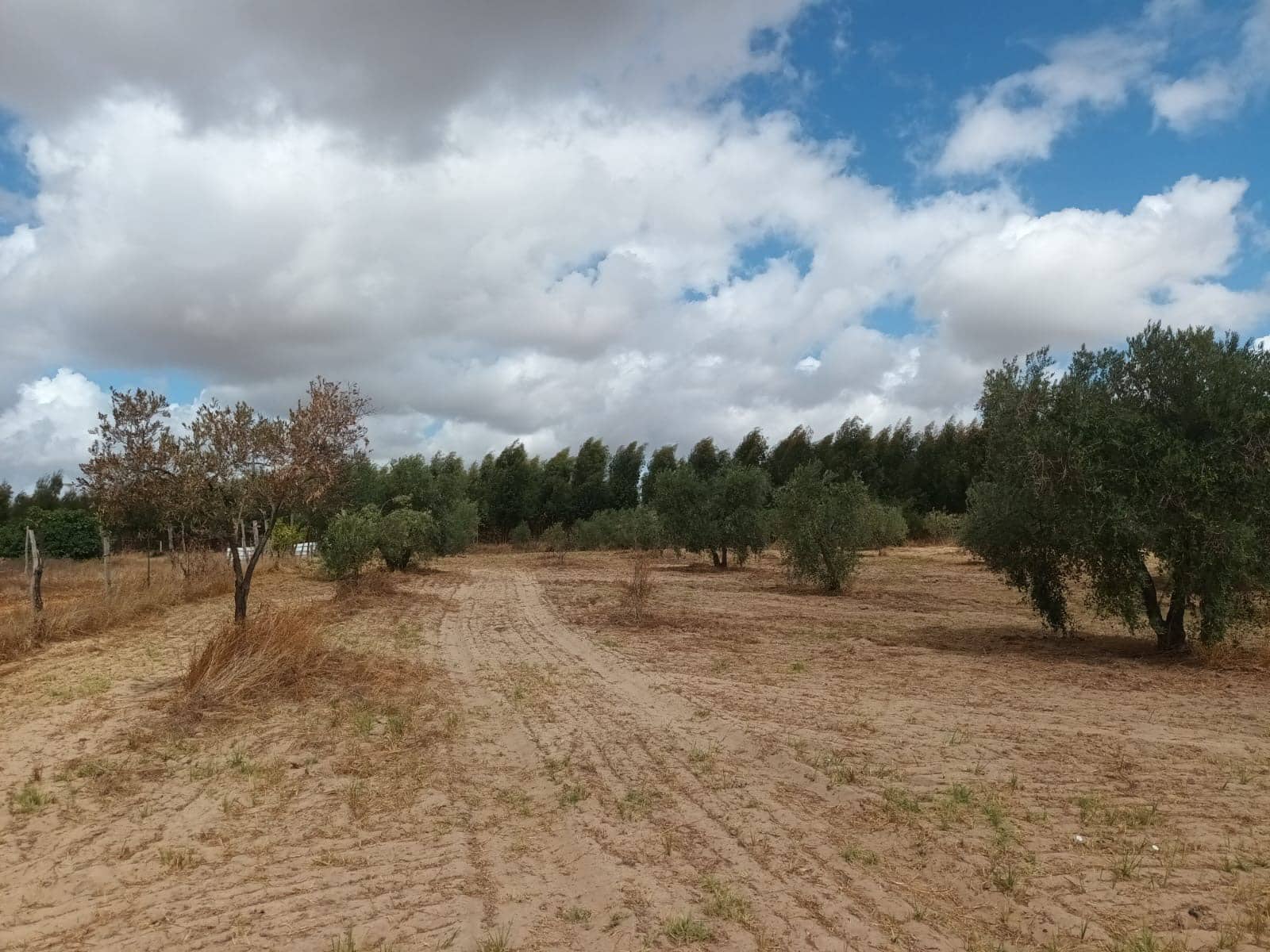 2 bedroom Finca/Country House for sale in Hinojos with garage - € 47,000 (Ref: 10048253)