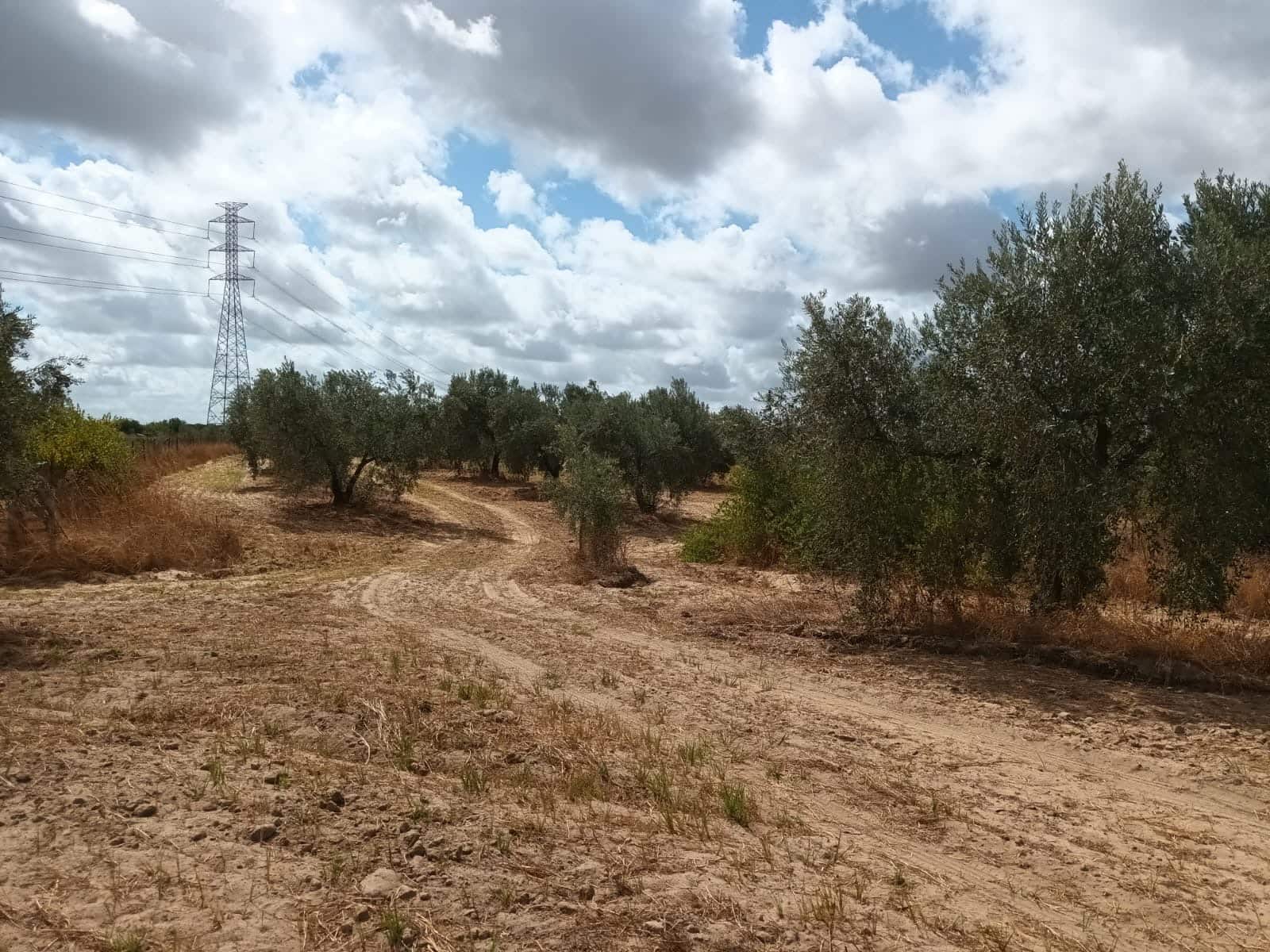 2 bedroom Finca/Country House for sale in Hinojos with garage - € 47,000 (Ref: 10048253)