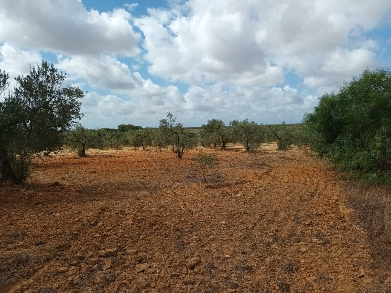 2 bedroom Finca/Country House for sale in Hinojos with garage - € 47,000 (Ref: 10048253)