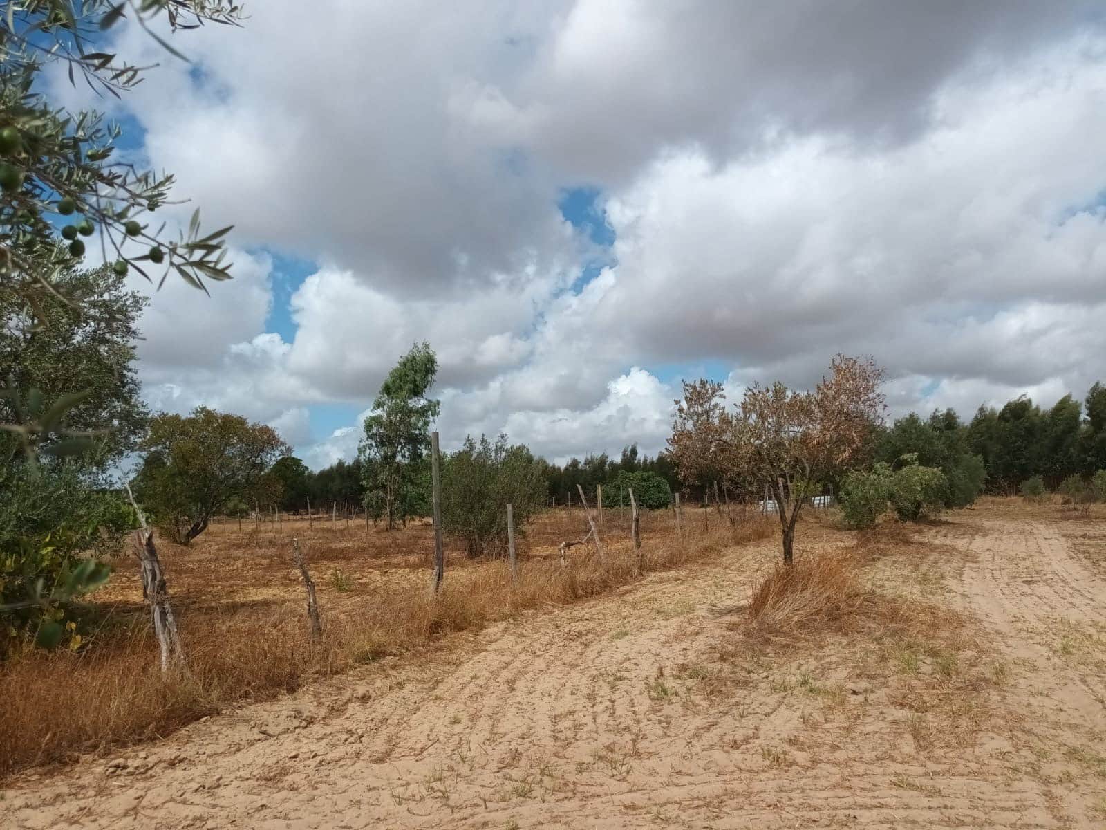 2 bedroom Finca/Country House for sale in Hinojos with garage - € 47,000 (Ref: 10048253)