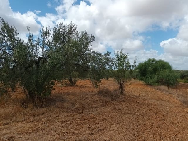 2 sovrum Finca/Hus på landet till salu i Hinojos med garage - 47 000 € (Ref: 10048253)