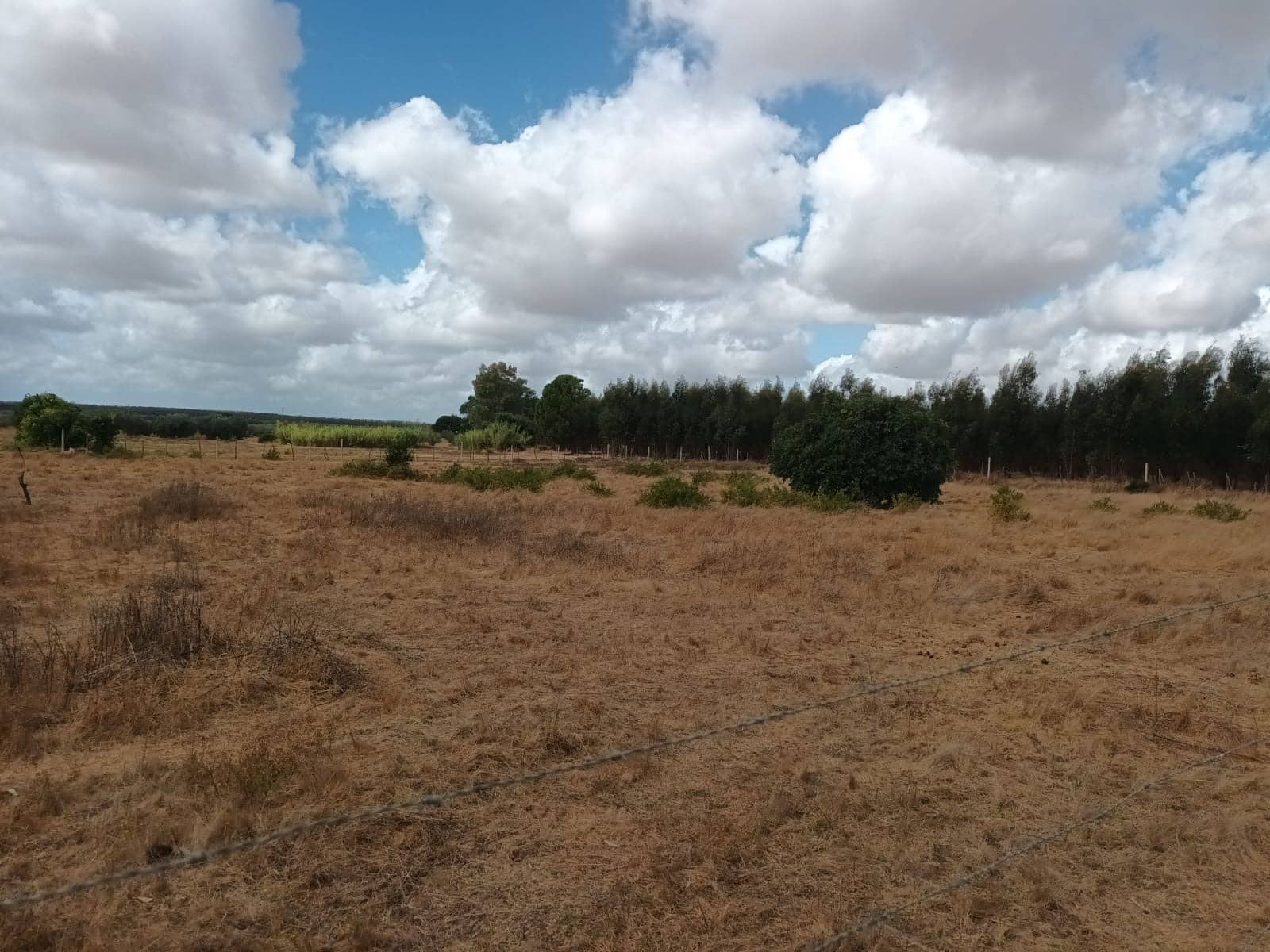 2 bedroom Finca/Country House for sale in Hinojos with garage - € 47,000 (Ref: 10048253)