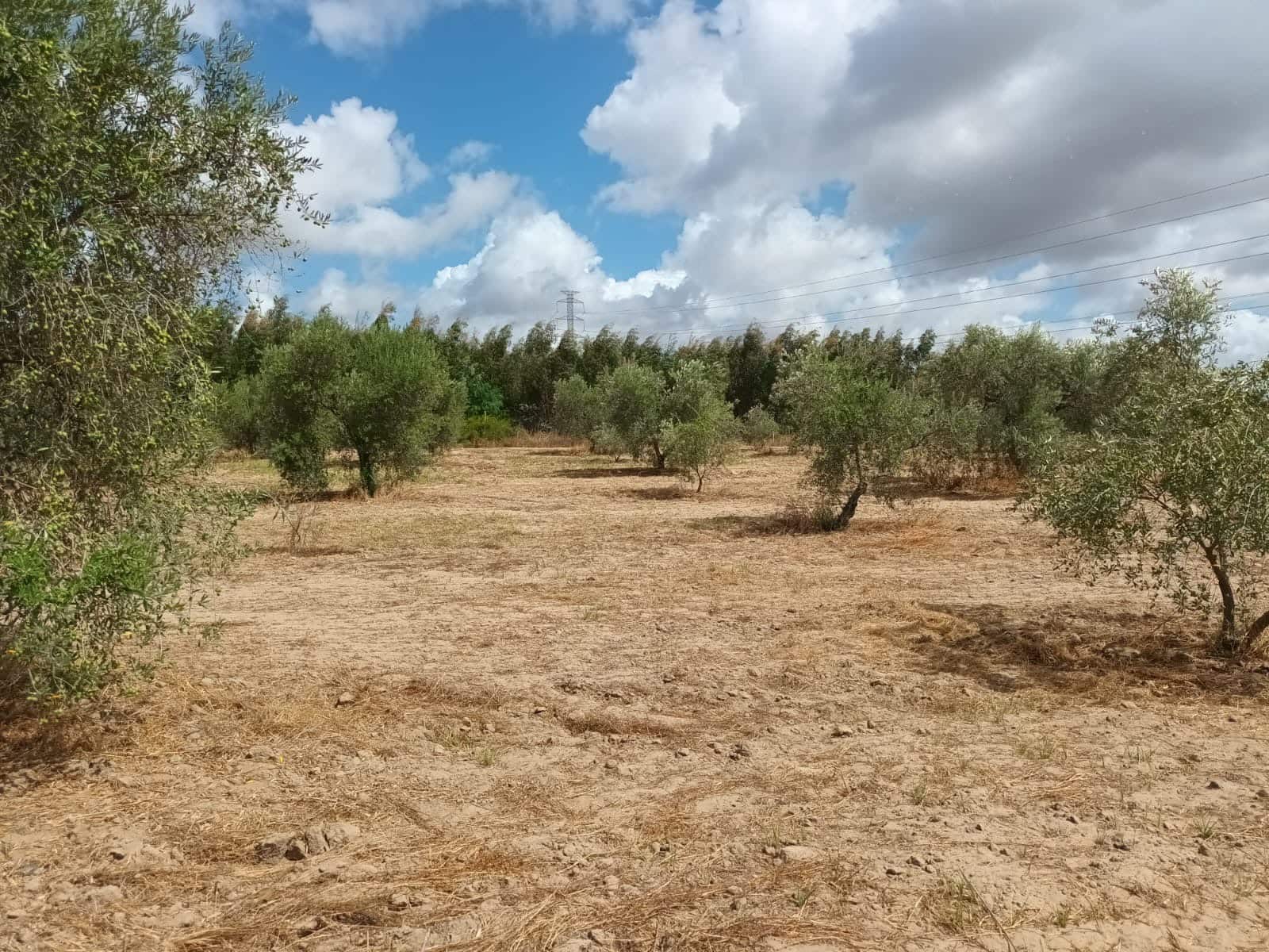 2 bedroom Finca/Country House for sale in Hinojos with garage - € 47,000 (Ref: 10048253)