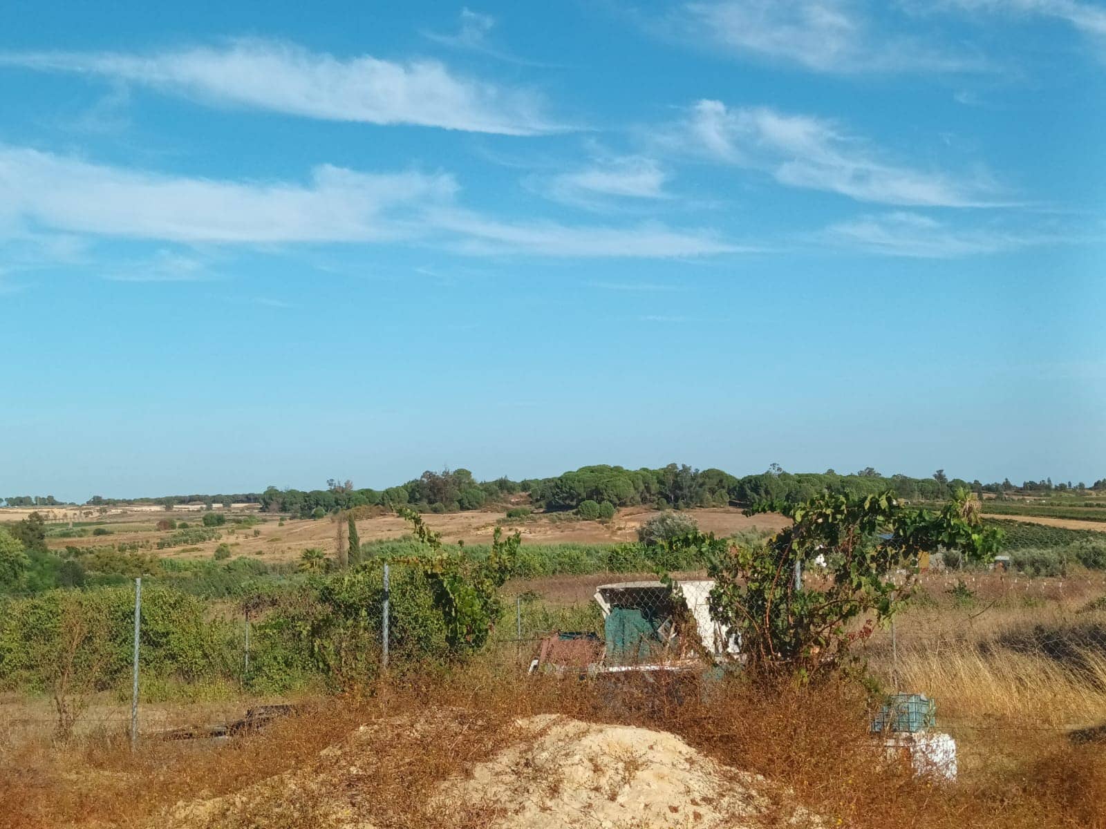 3 quarto Quinta/Casa Rural para venda em Rociana del Condado com garagem - 39 000 € (Ref: 10051953)