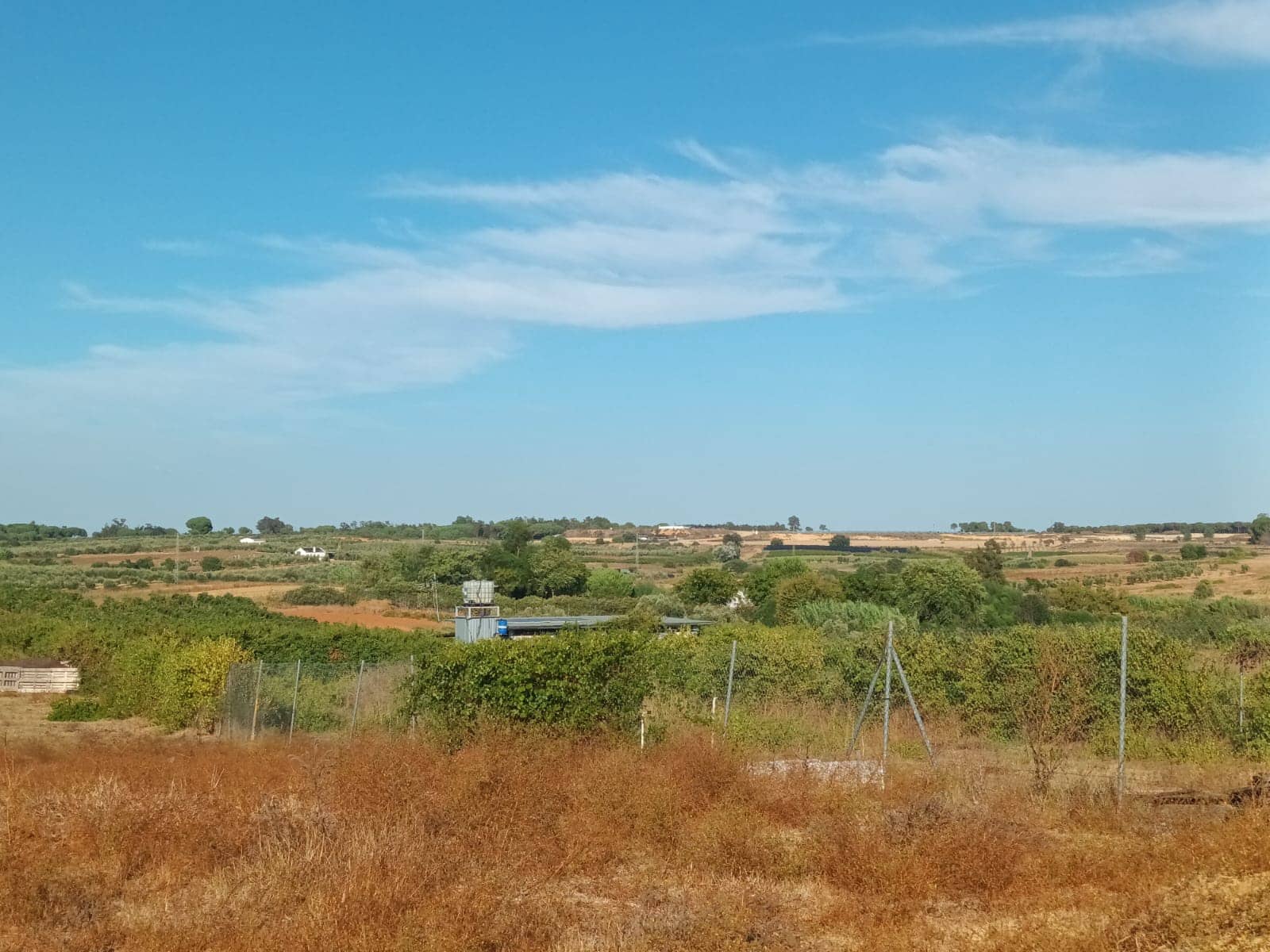 3 quarto Quinta/Casa Rural para venda em Rociana del Condado com garagem - 39 000 € (Ref: 10051953)