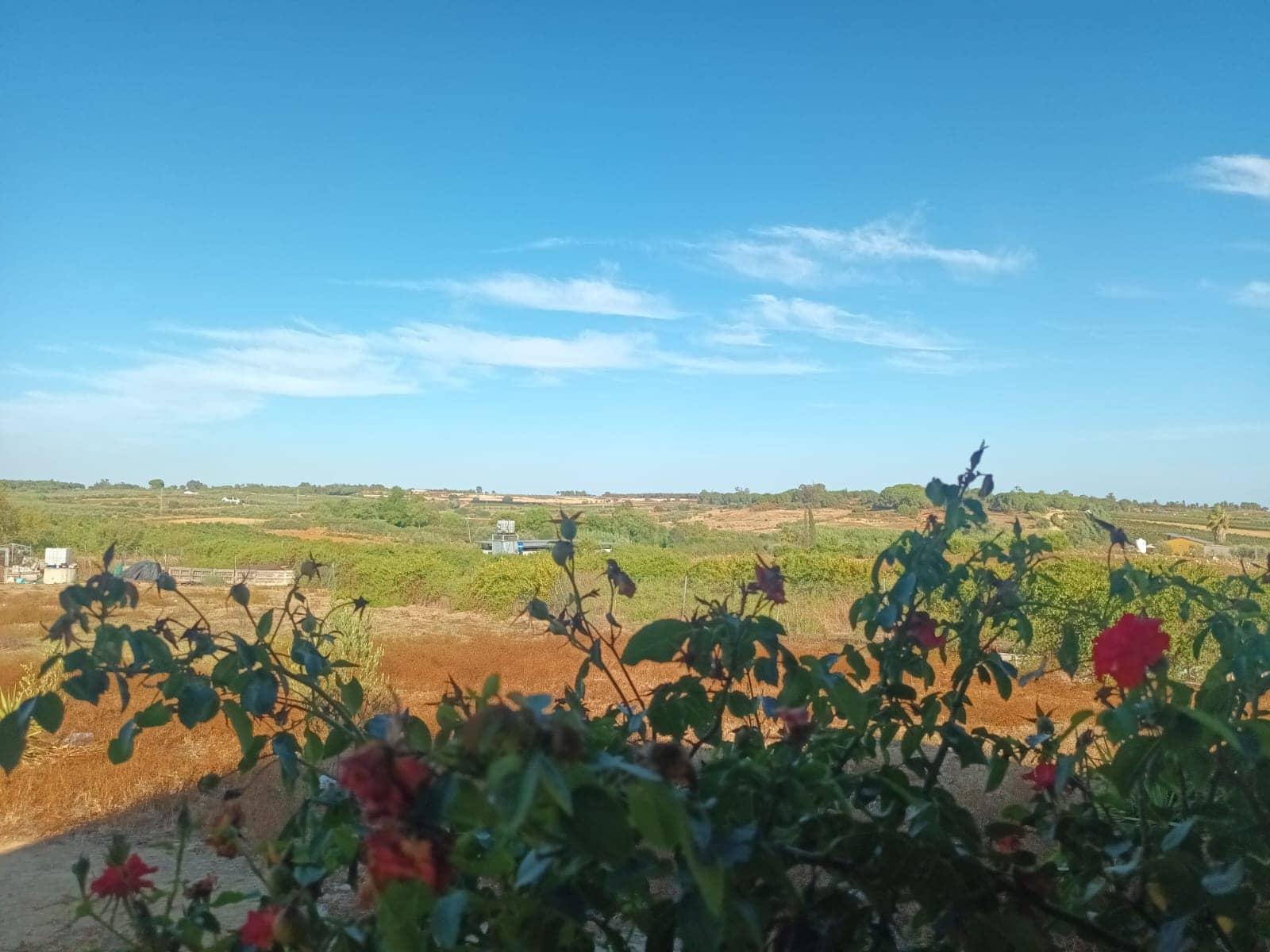 3 quarto Quinta/Casa Rural para venda em Rociana del Condado com garagem - 39 000 € (Ref: 10051953)