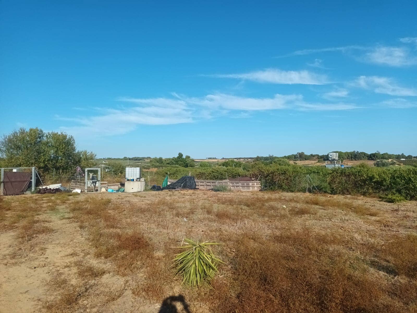 3 quarto Quinta/Casa Rural para venda em Rociana del Condado com garagem - 39 000 € (Ref: 10051953)