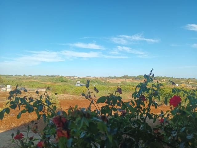 3 soverom Finca/Herregård til salgs i Rociana del Condado med garasje - € 39 000 (Ref: 10051953)
