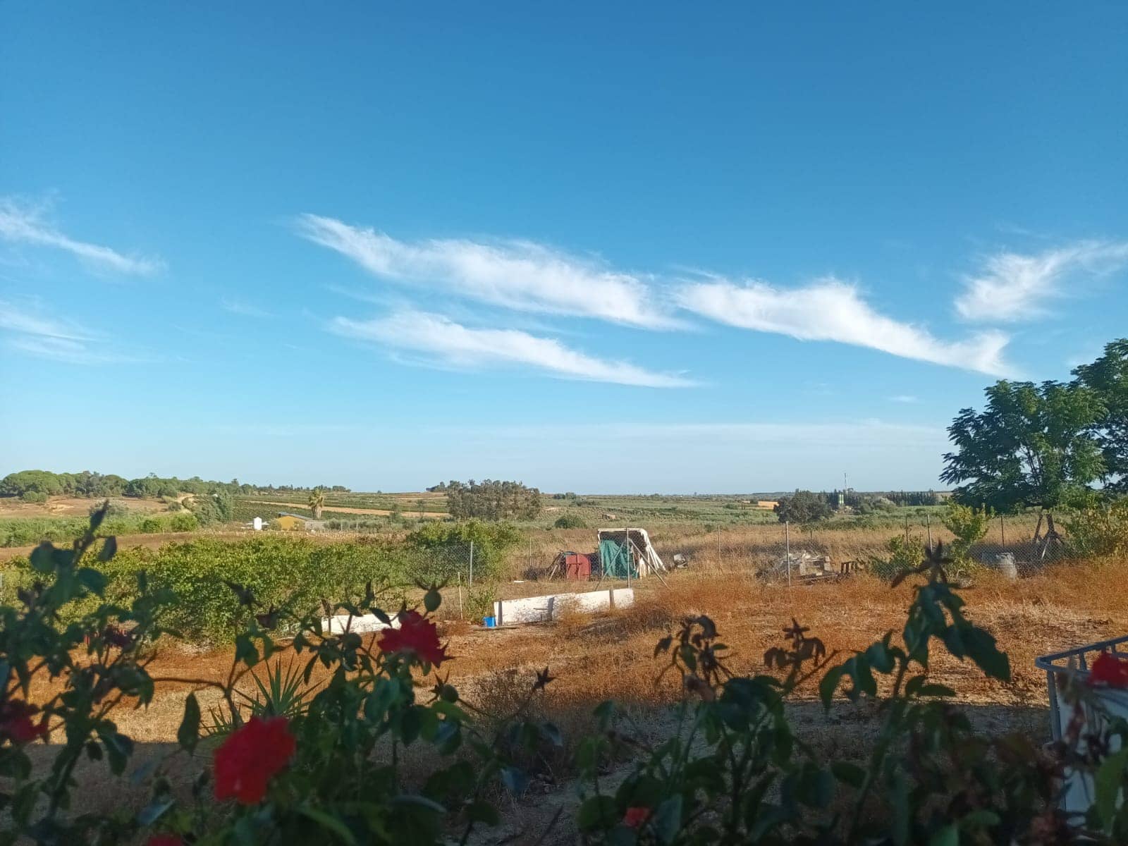 3 quarto Quinta/Casa Rural para venda em Rociana del Condado com garagem - 39 000 € (Ref: 10051953)