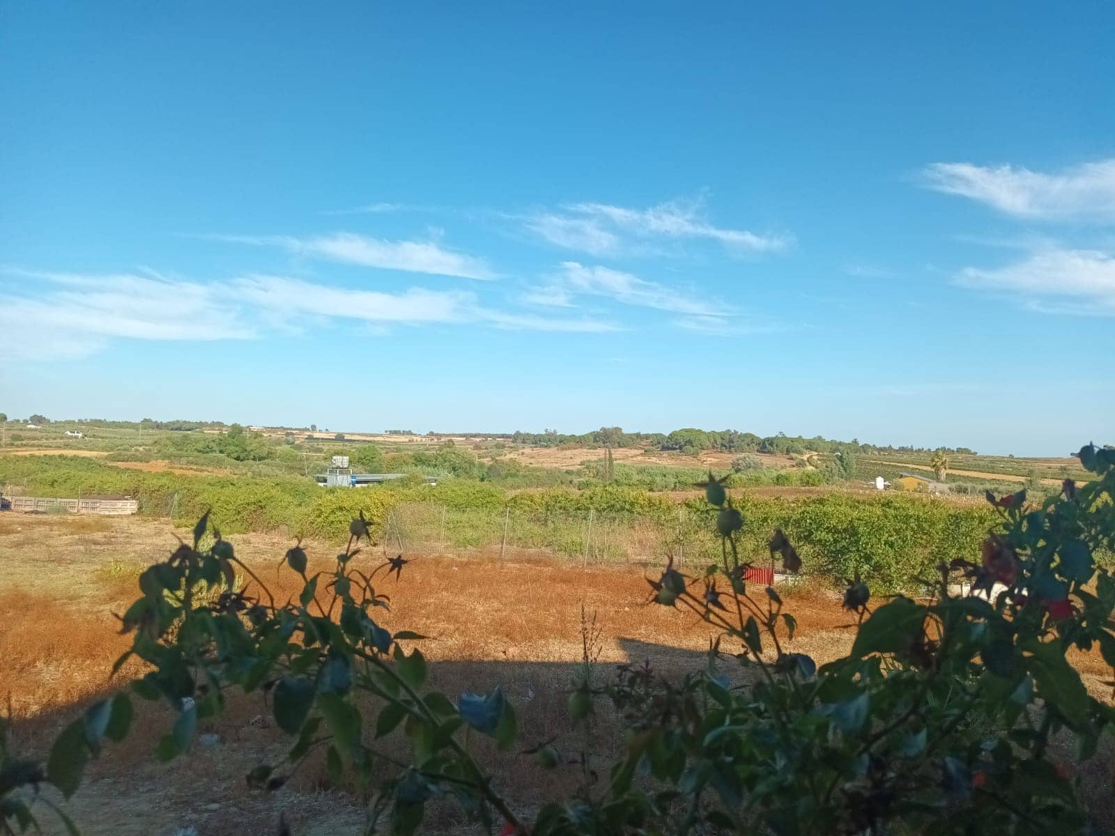3 quarto Quinta/Casa Rural para venda em Rociana del Condado com garagem - 39 000 € (Ref: 10051953)