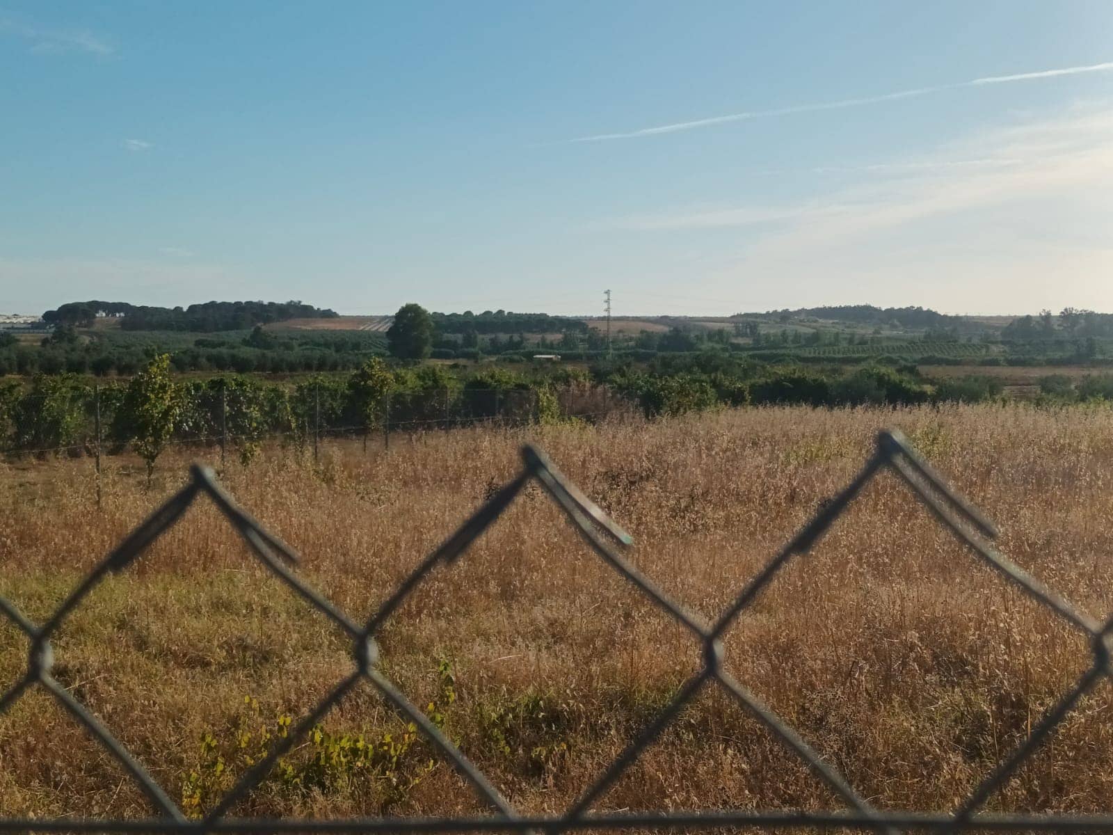 3 quarto Quinta/Casa Rural para venda em Rociana del Condado com garagem - 39 000 € (Ref: 10051953)