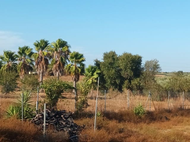 3 soverom Finca/Herregård til salgs i Rociana del Condado med garasje - € 39 000 (Ref: 10051953)