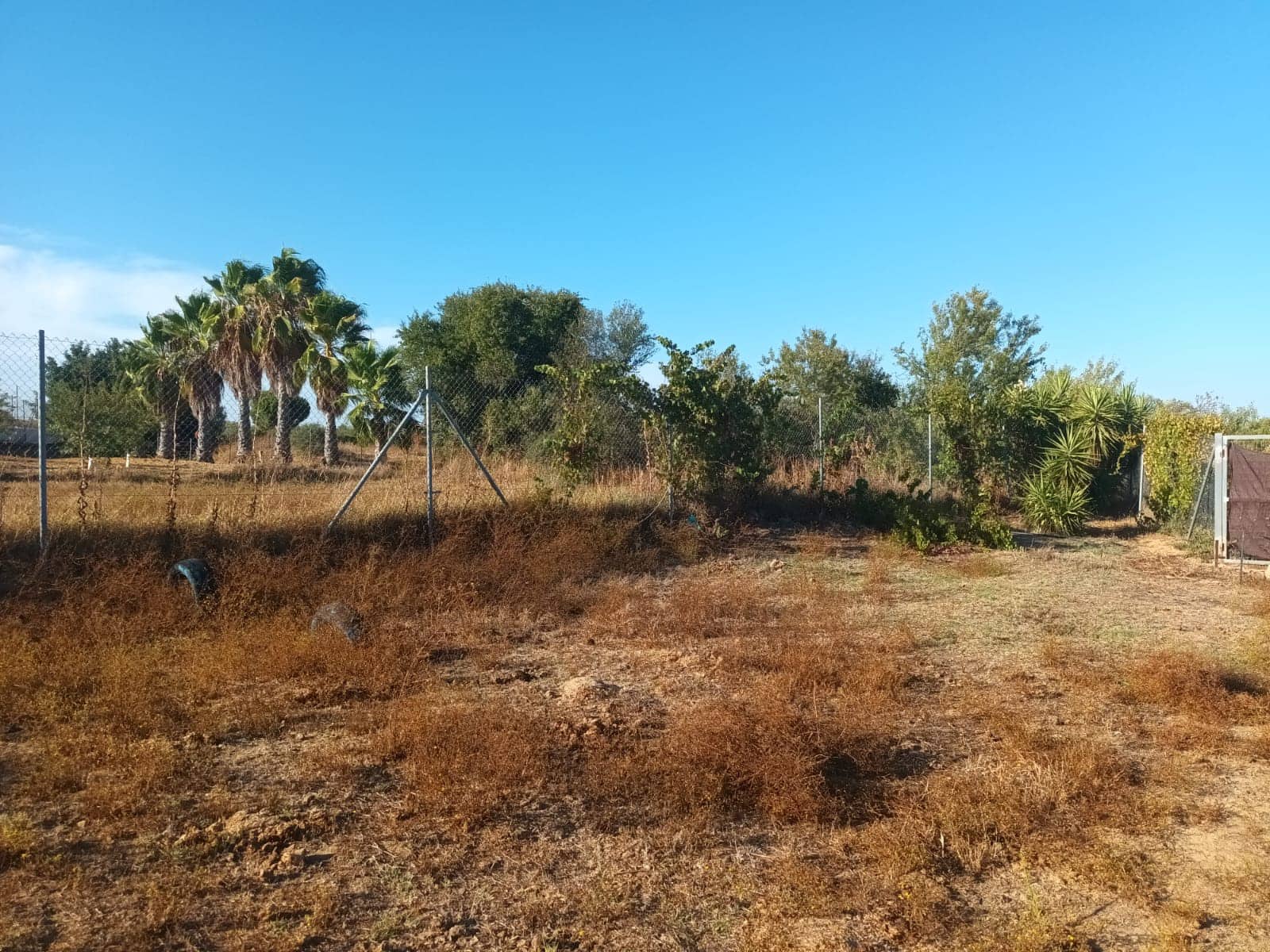 3 quarto Quinta/Casa Rural para venda em Rociana del Condado com garagem - 39 000 € (Ref: 10051953)